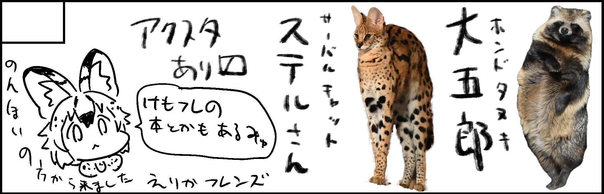 サークルカット